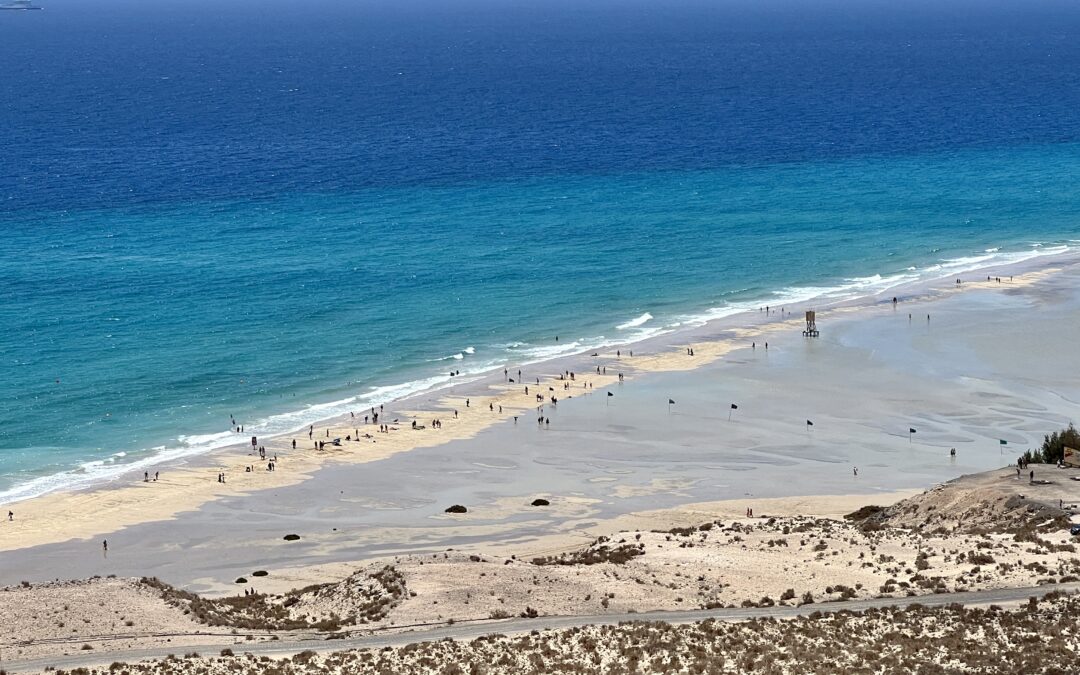 Fuerteventura an einem Tag: Tipps für den Landgang auf eigene Faust